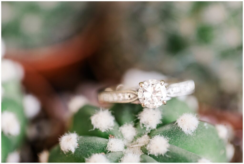 Engagement ring on cactus | Alabama Wedding Photographer Amanda Horne